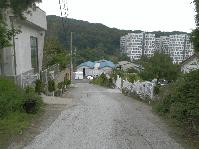  본건 주변 상황