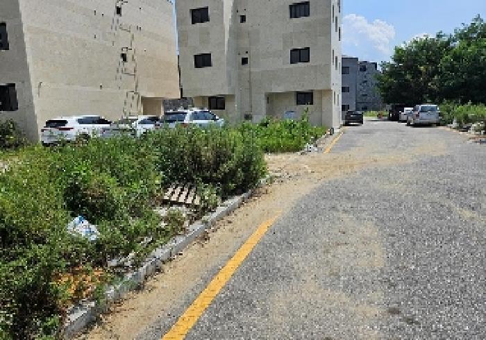 본건 토지 주변 전경