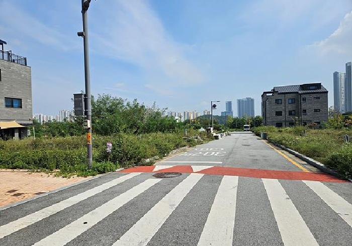 본건 토지 앞 도로변 전경