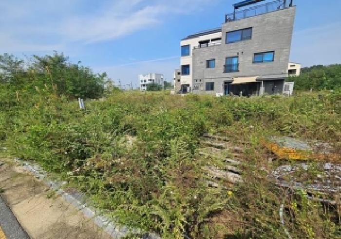 본건 토지 전경
