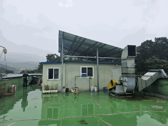 제 시 외 건 물 (머) 현 황