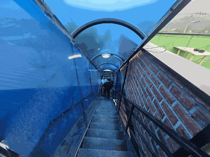 제 시 외 건 물 (버) 현 황