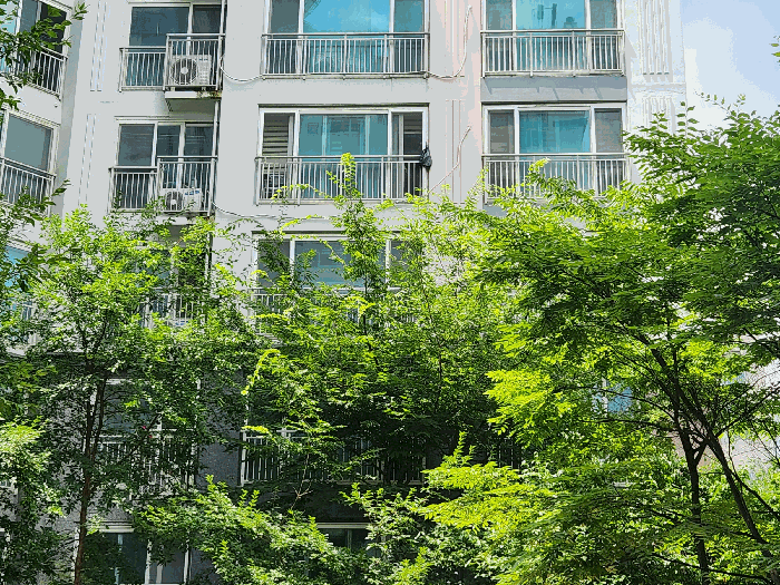 본건 전경