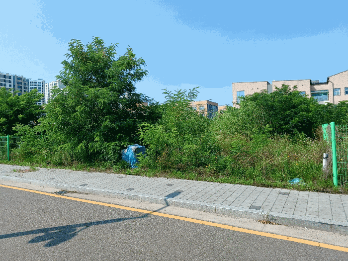 본건 전경