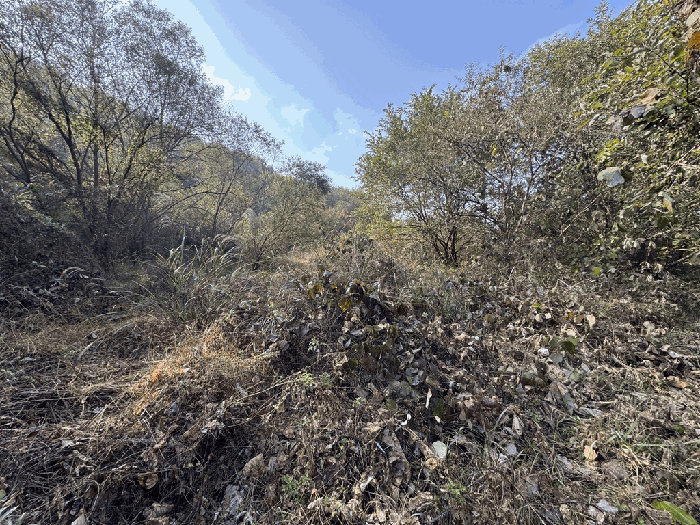 일련번호(2) 전경