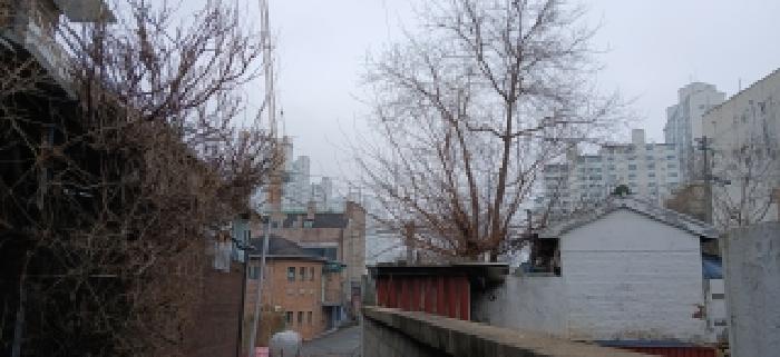 116-6 다동 전경
