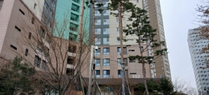 건물 전경