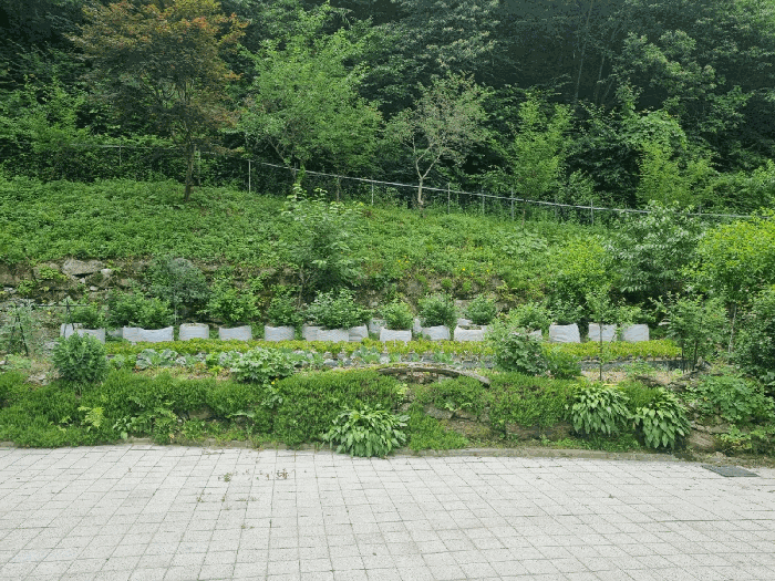 본건 기호(3) 토지지상 농경지 부분