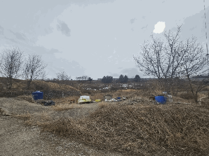 기호(6) 