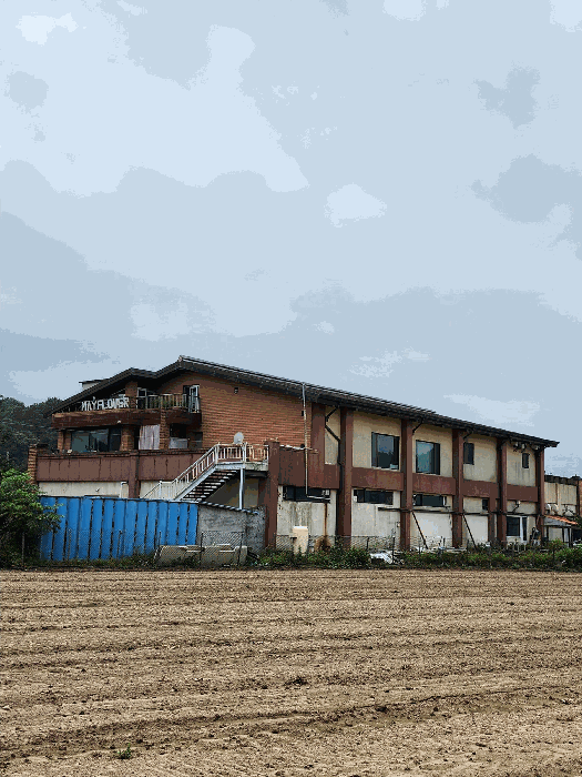 본건 건물 전경
