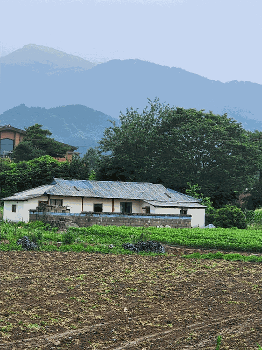일련번호 (6) 일부 지상 소재 주택 전경