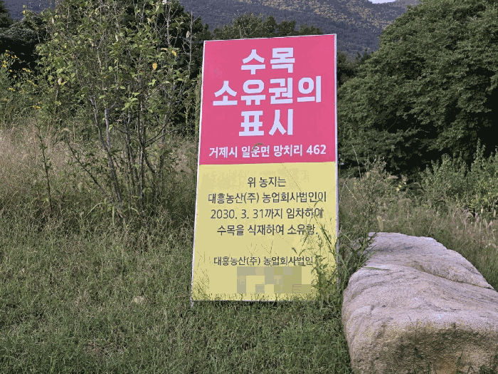 【 본 건 기호 5) 토지 】