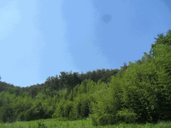 본건전경 기호1