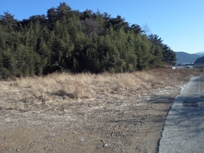 본건 전경