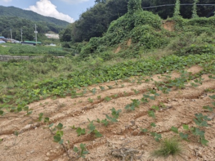 목록 1