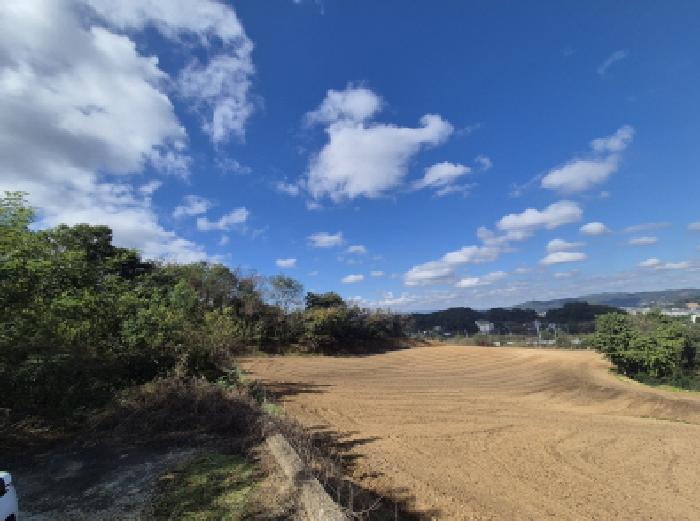 주변도로