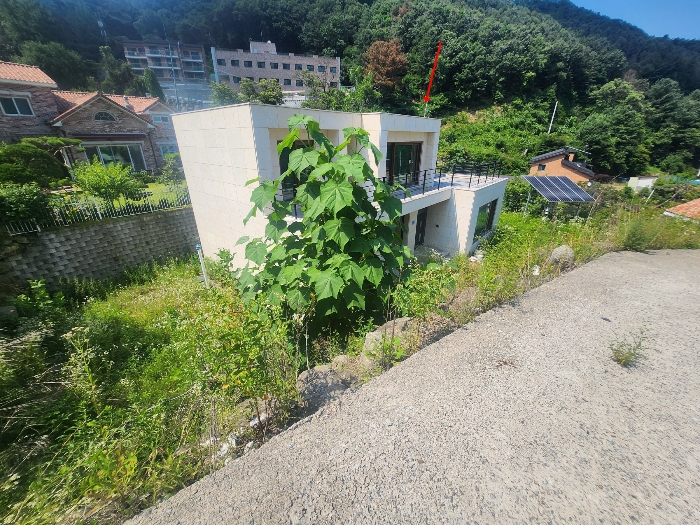 본건토지 및 지상 제시외 건물(㉠)전경-남서측에서