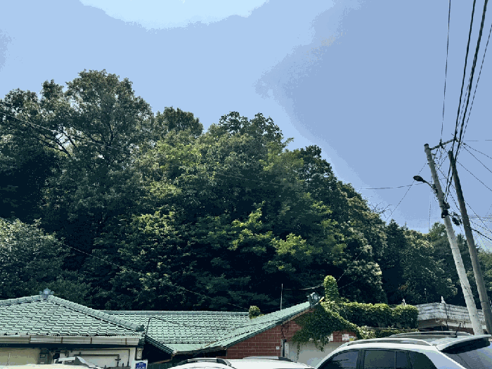 본건 전경1