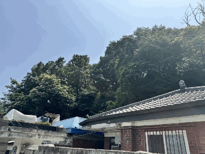 본건 전경2