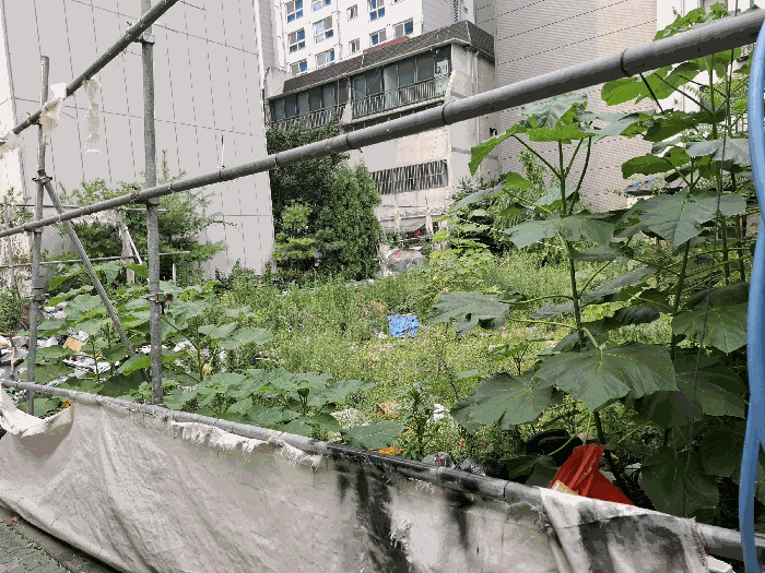 본건 하월곡동 90223대(남서측 촬영)
