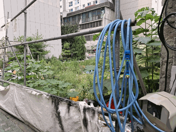 본건 (남서측)