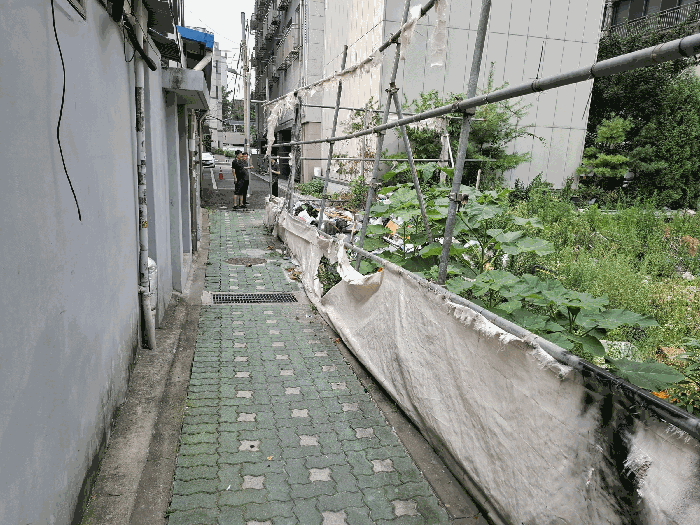 본건 서측 도로 접면
