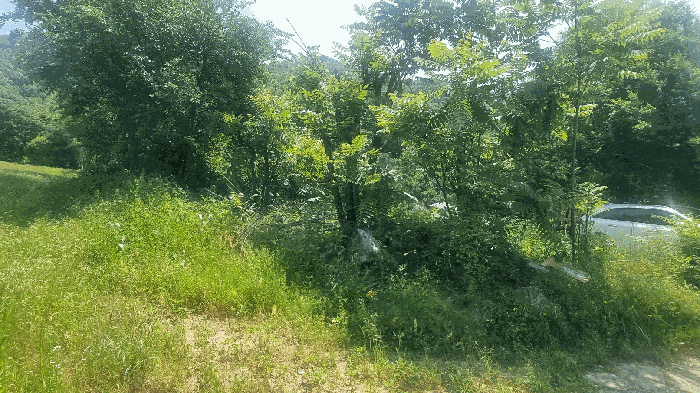 본건전경