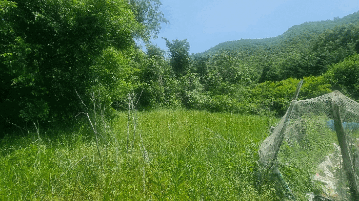 본건전경