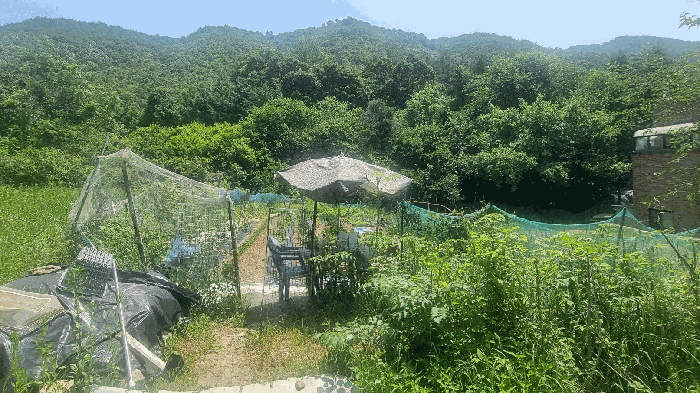 본건전경