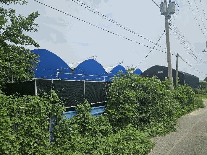 본건 전경
(남서측에서 촬영)