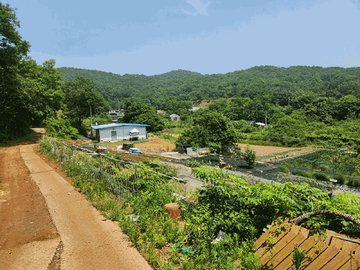 본건 북동측 전경