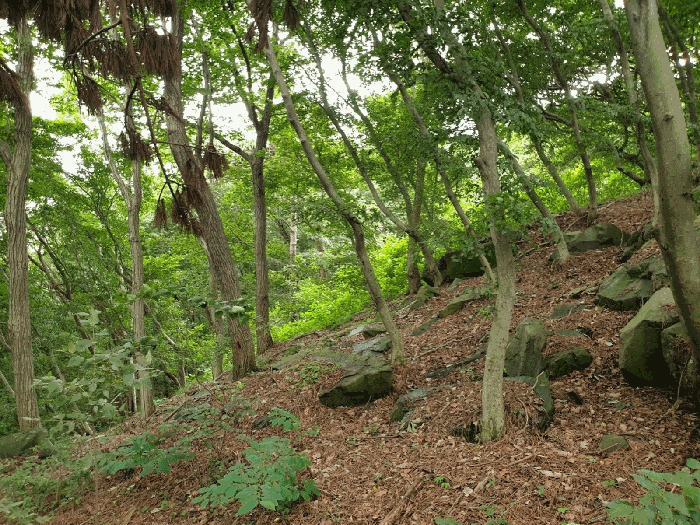기호1토지 근접촬영