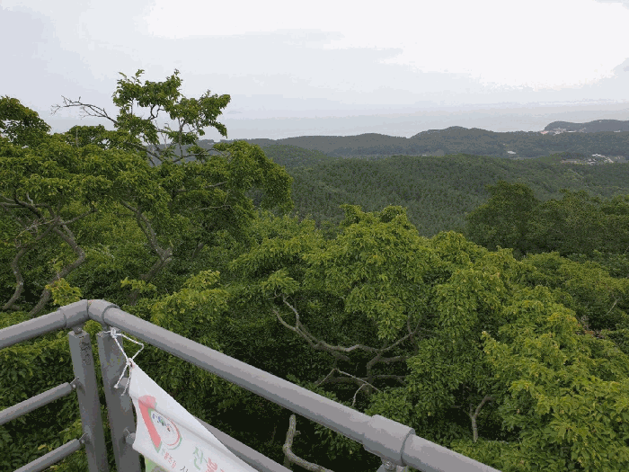 기호1~28 동하향전경