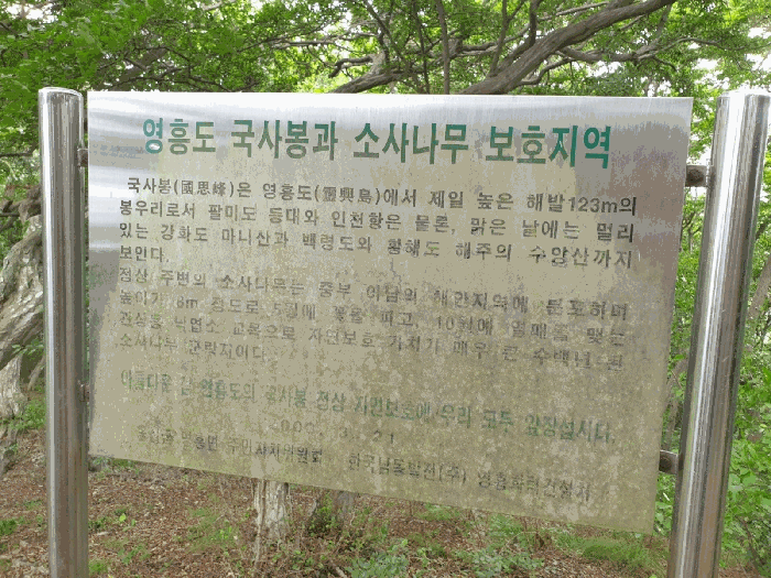 소사나무보호안내문