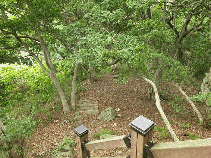 등산로