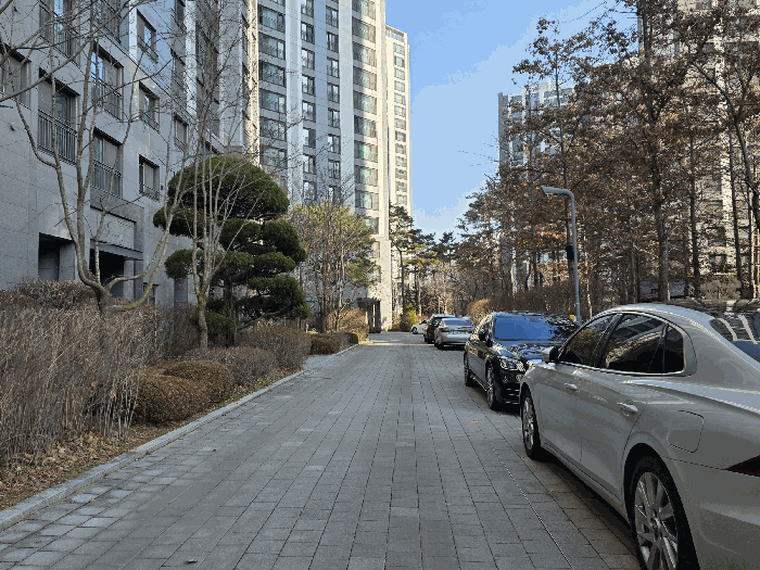 단 지 내 모 습