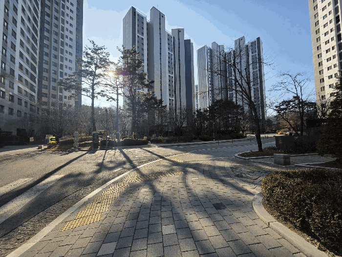 단 지 내 모 습