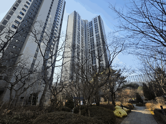 본 건 전 경