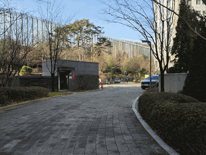 단 지 내 모 습
