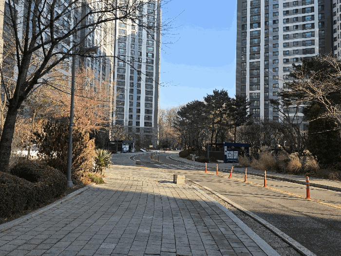 단 지 내 모 습