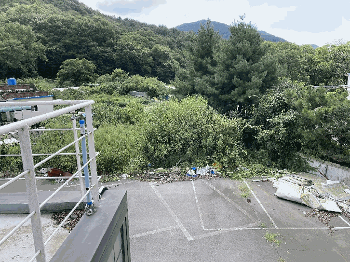 본건 지상 위 제시외수목