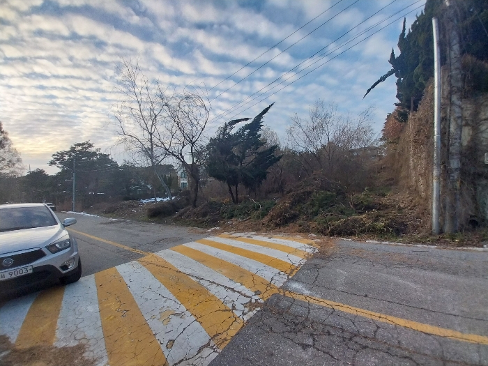 본건 전경