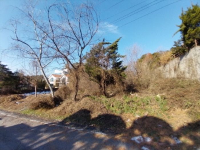 전경