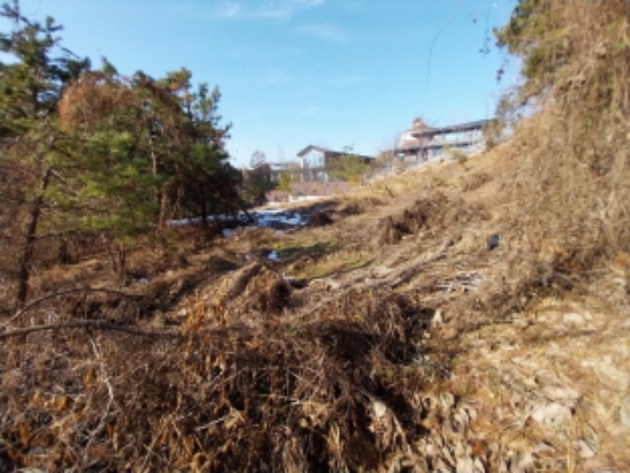 전경