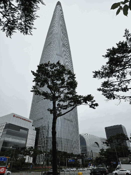 본건소재 월드타워동(123층)(남서측에서 촬영)