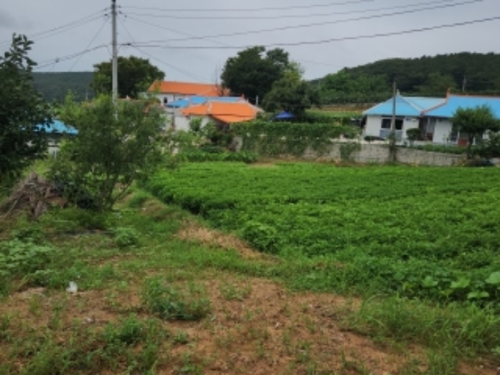 목록1. 토지2