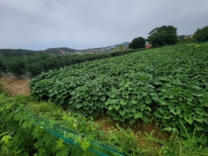 목록5. 토지 