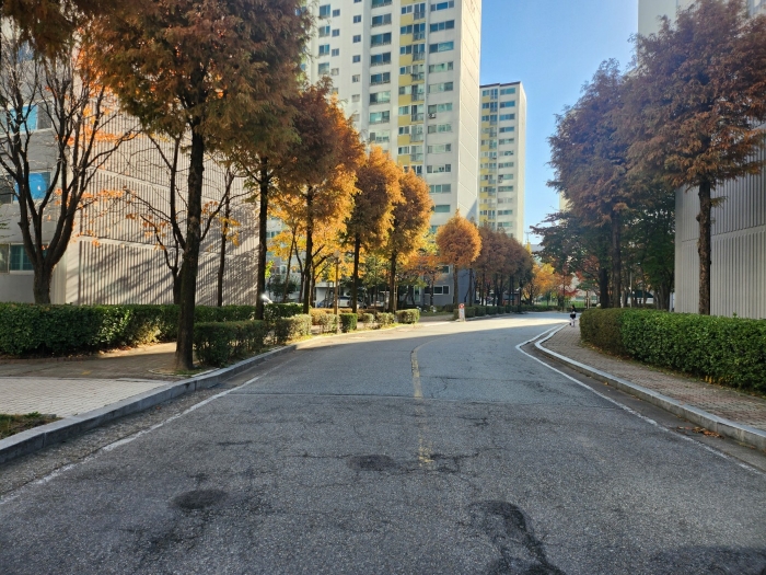 단지내도로상황