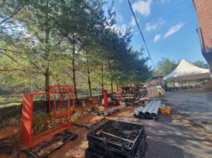 현장사진(토지,건물주변 나무 전경)