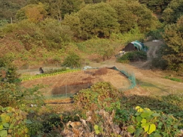 제시부동산 목록4번